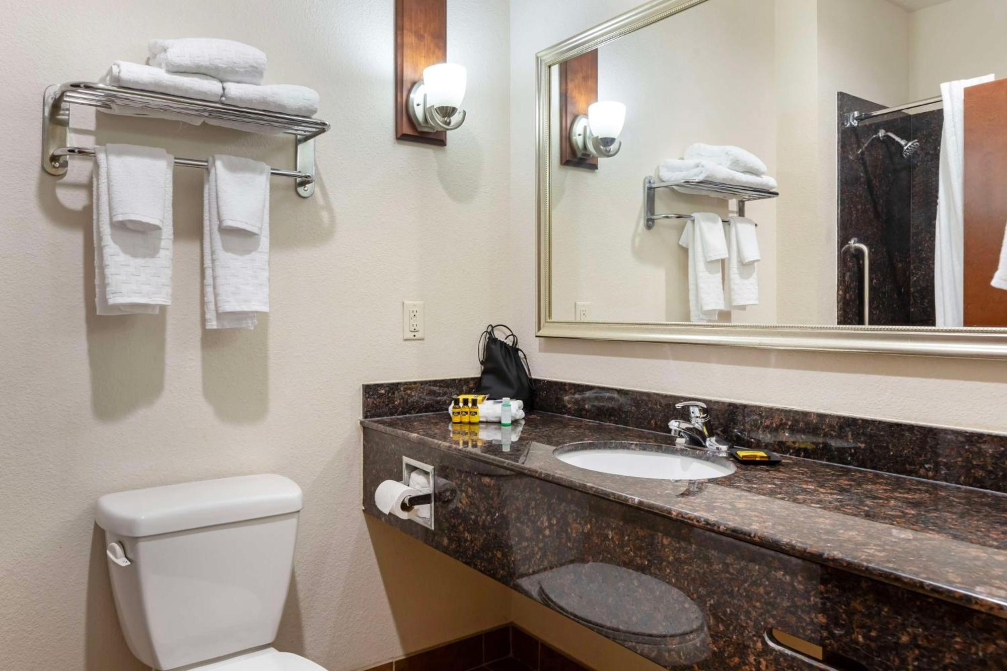 Best Western Plus Greenville South Piedmont Εξωτερικό φωτογραφία