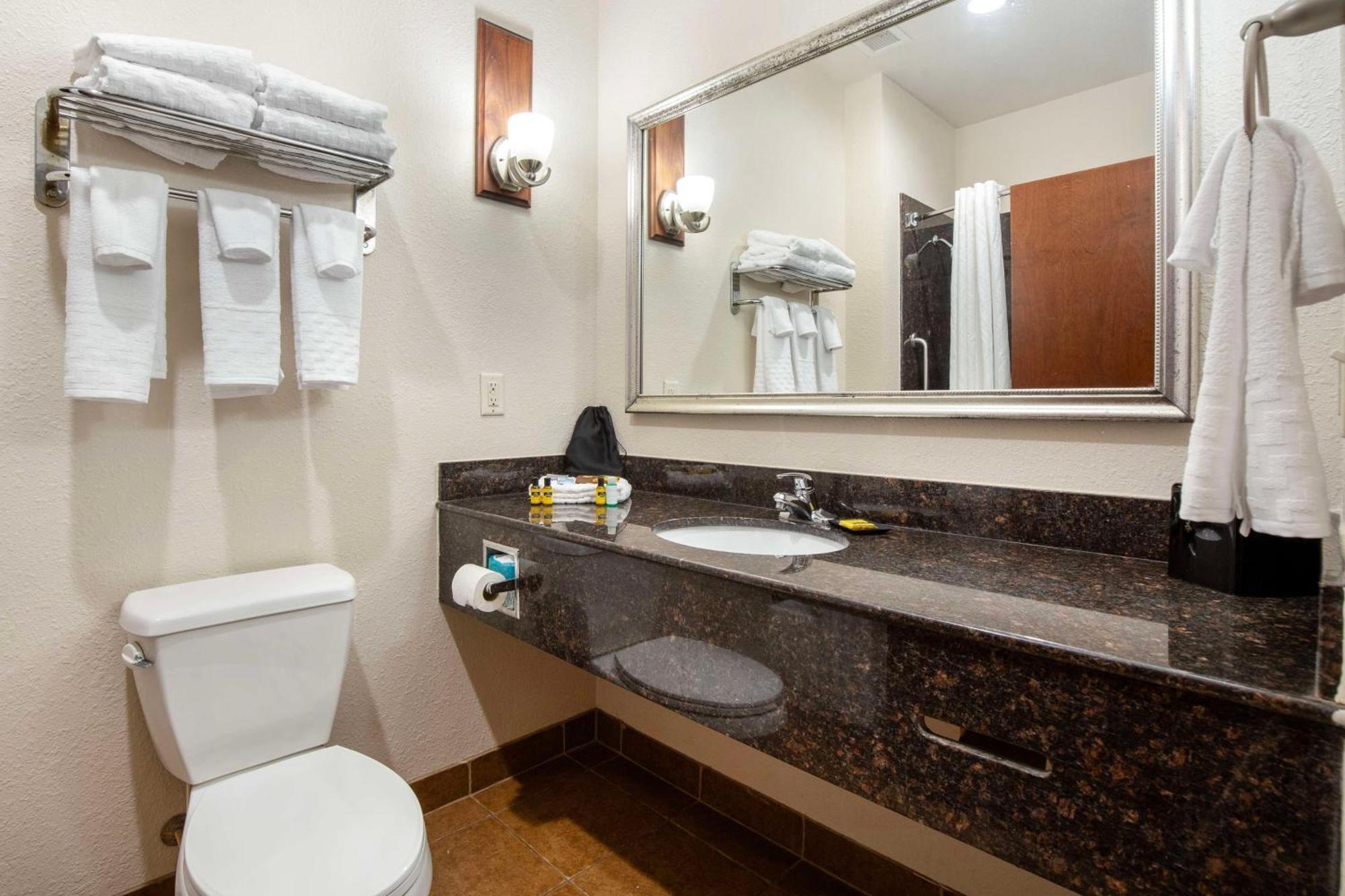 Best Western Plus Greenville South Piedmont Εξωτερικό φωτογραφία